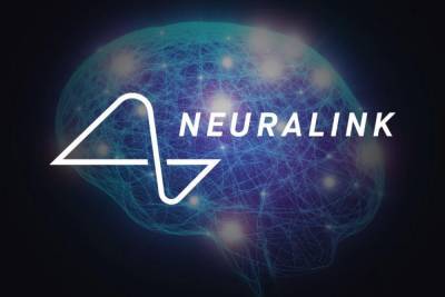 Сооснователь Neuralink Макс Ходак объявил об уходе из нейротехнологического стартапа Илона Маска