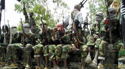В Нигере боевики устроили засаду и убили военных