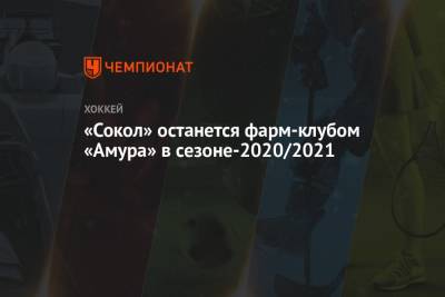 «Сокол» останется фарм-клубом «Амура» в сезоне-2020/2021