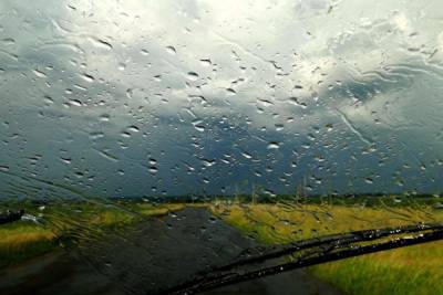 В Тамбовской области ожидаются сильные дожди и гроза