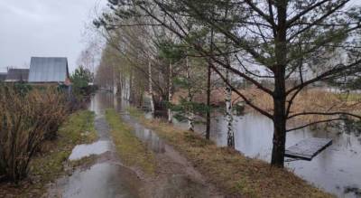 "Разлилась река Великая": ярославцы показали последствия подъёма уровня воды Волги. Видео