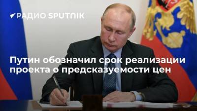 Путин обозначил срок реализации проекта о предсказуемости цен