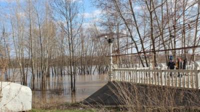 В реке Бия уровень воды превысил критическую отметку