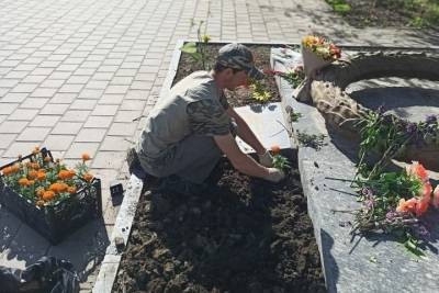До начала лета клумбы Краснодара украсят более 330 тысяч цветов