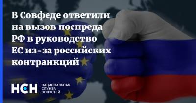 В Совфеде ответили на вызов поспреда РФ в руководство ЕС из-за российских контранкций