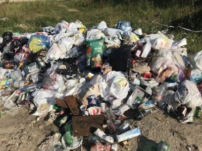 Жители Ленобласти написали «Навальный» на мешках с мусором, понадеявшись, что свалка исчезнет