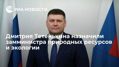 Дмитрия Тетенькина назначили замминистра природных ресурсов и экологии