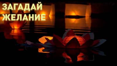 Фестиваль водных фонариков в Санкт-Петербурге — видео