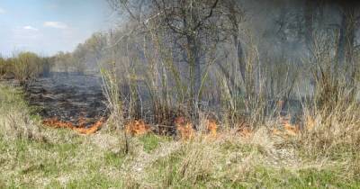 ГСЧС объявила чрезвычайный уровень пожарной опасности в половине регионов Украины