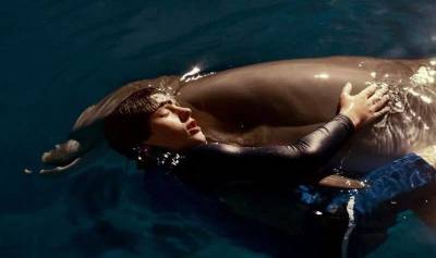 Знаете почему дельфины выталкивают людей на берег? » Тут гонева НЕТ!