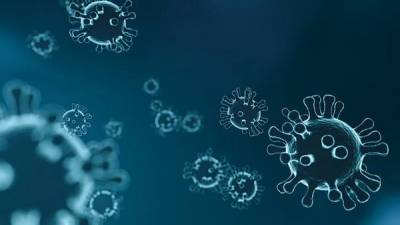 На прибывшем в Финляндию из России судне выявили 11 случаев заражения коронавирусом