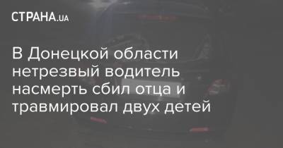 В Донецкой области нетрезвый водитель насмерть сбил отца и травмировал двух детей