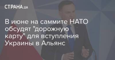 В июне на саммите НАТО обсудят "дорожную карту" для вступления Украины в Альянс