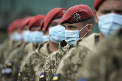 Сделано заявление о подготовке Украины к приёму в НАТО