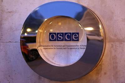 Заместитель постпреда РФ в ОБСЕ обвинил запад в цифровой цензуре