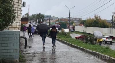 Дождливая погода задержится в Чувашии