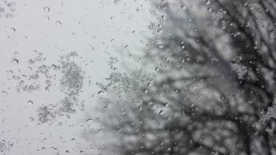 Дожди и мокрый снег обрушатся на жителей Ленинградской области 4 мая
