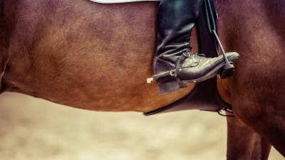 Новый сезон конного спорта стартовал в Петербурге и Ленобласти