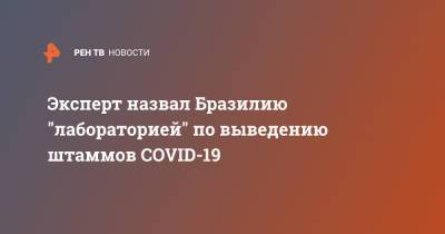 Эксперт назвал Бразилию "лабораторией" по выведению штаммов COVID-19