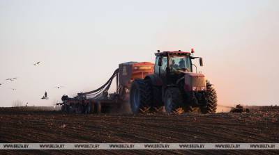 Аграрии Гомельской области завершили сев ранних зерновых и зернобобовых