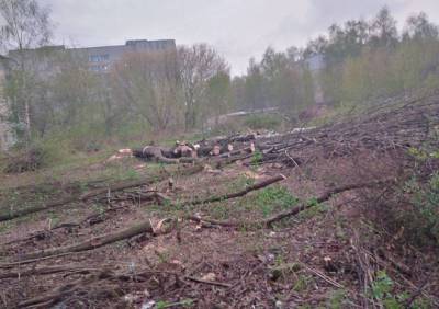 На улице Зубковой вырубили рощицу рядом с детским садом