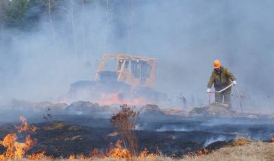 За неделю в УФО потушено 207 лесных пожаров
