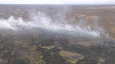 Новости на "России 24". Лесные пожары: в Тюменской области возможна эвакуация жителей