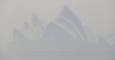 Возле Сиднея специально подожгли сухую траву и кустарники — густой дым полностью окутал город - tsn.ua - Австралия