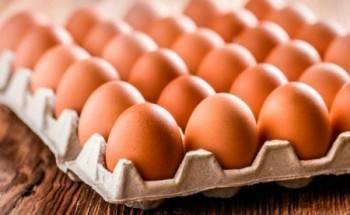 А где же яйца? Дефицит куриных яиц может возникнуть в России