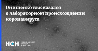 Онищенко высказался о лабораторном происхождении коронавируса