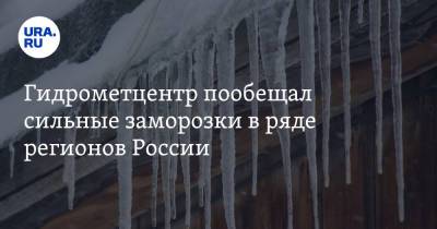 Гидрометцентр пообещал сильные заморозки в ряде регионов России