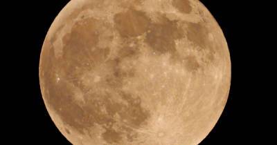 Астроном назвал дату ближайшего лунного затмения в Москве