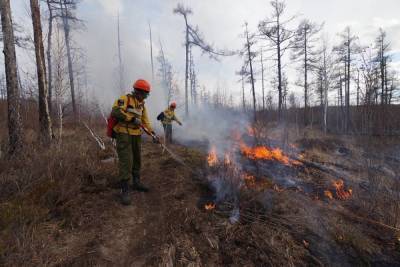 В трёх районах Якутии действуют четыре крупных природных пожара