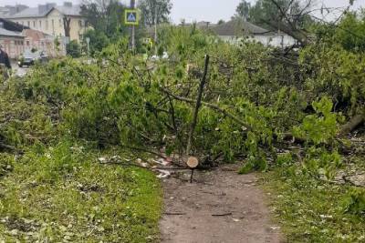 В Смоленске коммунальщики вырубили и бросили на дороге деревья возле ДК «Сортировка»