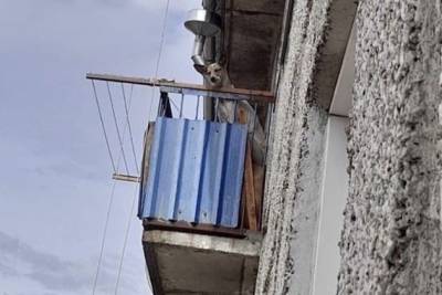 Добровольцы спасли запертую несколько дней на балконе собаку в Осетровке