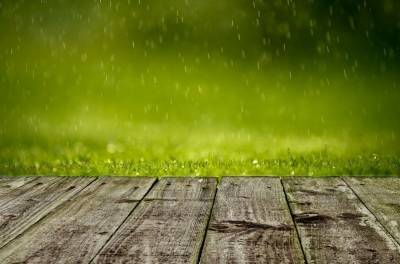 Жара берет тайм-аут: в Липецке дожди и до +18