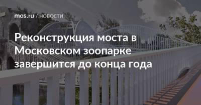 Реконструкция моста в Московском зоопарке завершится до конца года