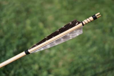 В израильском городе Геф обнаружен наконечник стрелы из упоминаемой в Библии битвы