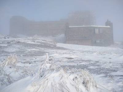 На горе Поп Иван Черногорский выпал снег