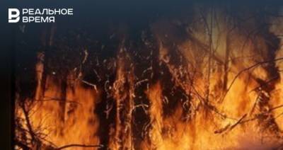 За сутки площадь лесных пожаров в Якутии выросла почти на 2 тысячи гектаров
