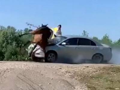 Автомобиль протаранил повозку с людьми, которые ехали на праздник в Башкирии. Одной пассажирке оторвало ногу