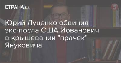 Юрий Луценко обвинил экс-посла США Йованович в крышевании "прачек" Януковича