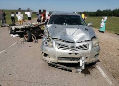 Автомобиль в Башкирии протаранил гужевую повозку с пассажирами, пятеро пострадали