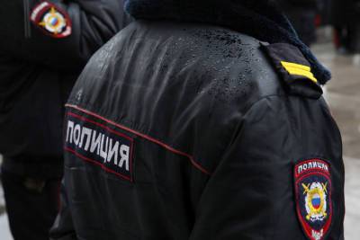 В Петербурге неизвестная заставила полицию искать бомбу в метро и ТЦ