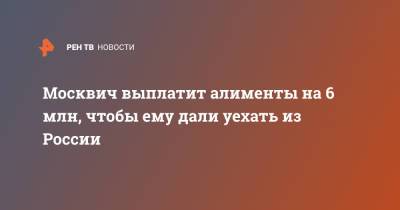 Москвич выплатит алименты на 6 млн, чтобы ему дали уехать из России