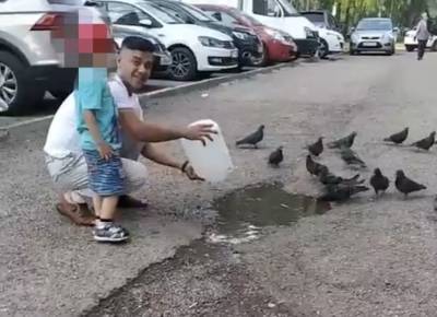 Жители Башкирии прокомментировали видео чиновника, где он помогает голубям