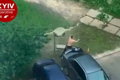 "Вступил в неравный бой": в Киеве мужчина эпично подрался с ковром и попал на видео