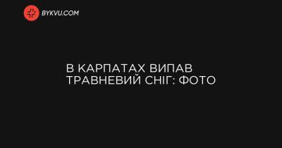 В Карпатах випав травневий сніг: фото