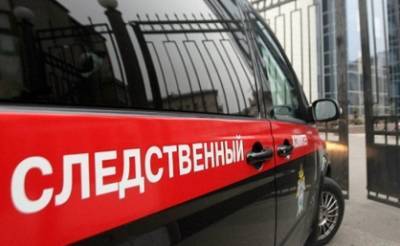 Двое детей находятся в тяжелом состоянии после падения с батута в Барнауле – Учительская газета