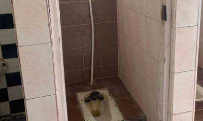 Компания Domestos выбрала худшие школьные туалеты в России